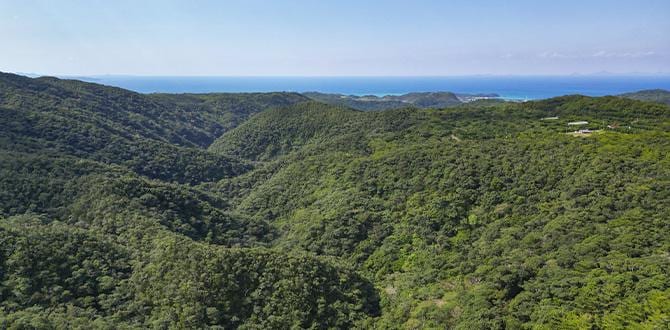 Okinawa Quando Andare Clima E Periodo Migliore Turisanda