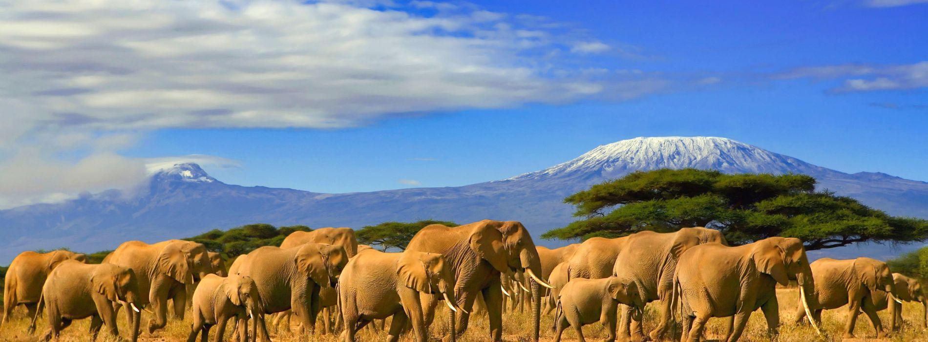 Volo Kilimanjaro | Alpitour World