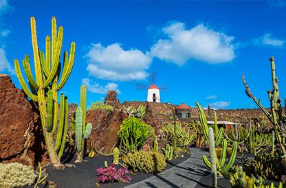 Lanzarote | Offerte viaggi a Natale, Capodanno ed Epifania | Turisanda