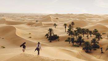 Safari nel deserto | Abu Dhabi | Turisanda