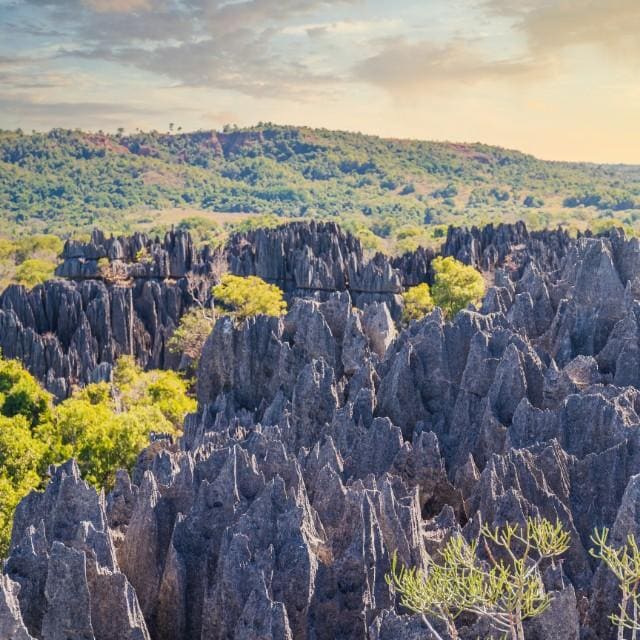 Madagascar | Offerte viaggi a Natale | Turisanda