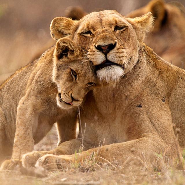 Sudafrica | Offerte viaggi di nozze | Turisanda