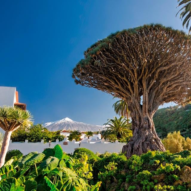 Tenerife | Offerte viaggi a Natale | Turisanda