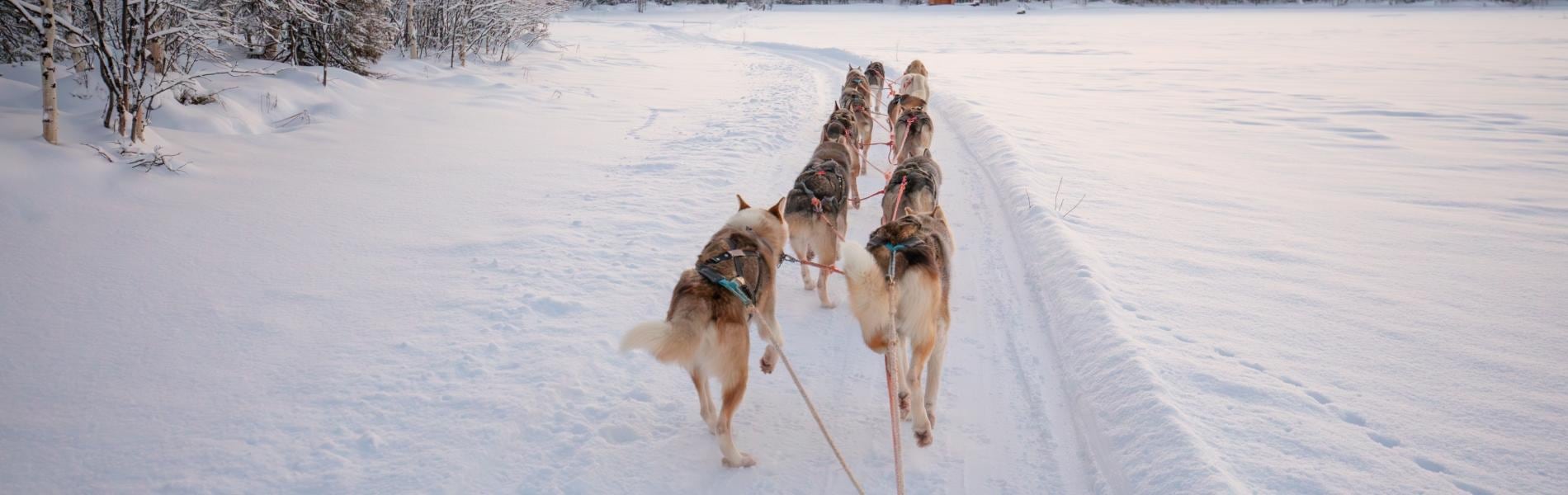 Finlandia | Turisanda Finlandia | Turisanda