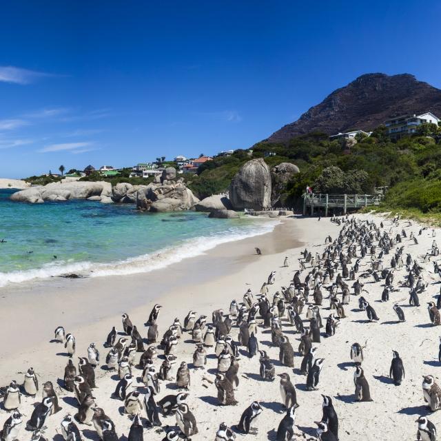 Spiaggia di Boulder I Turisanda