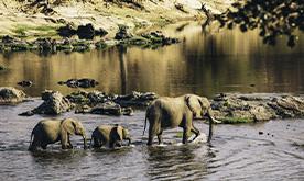 Da DAR ES SALAAM al SELOUS