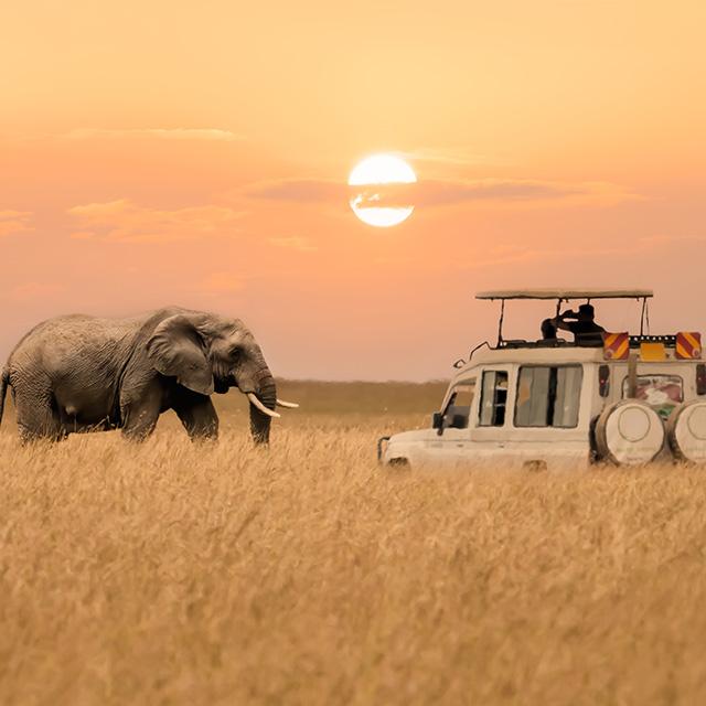 Kenya  | Safari Viaggio di nozze | Turisanda