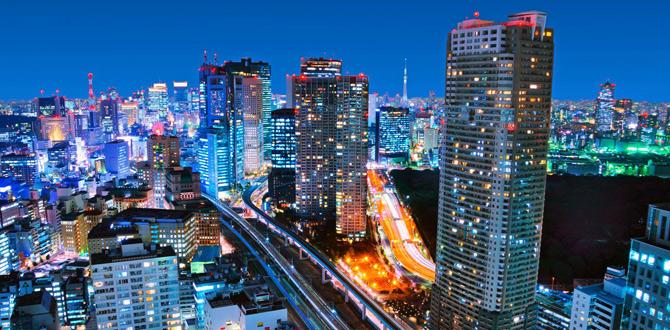 Vista notturna sui grattacieli di Tokyo | Giappone | Turisanda