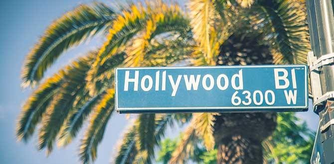 Hollywood Boulevard | Stati Uniti | Turisanda