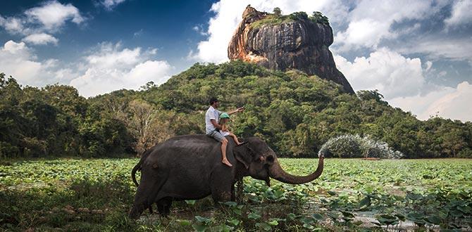Elefante nella foresta e sullo sfondo la Roccia del Leone | Sri Lanka | Turisanda