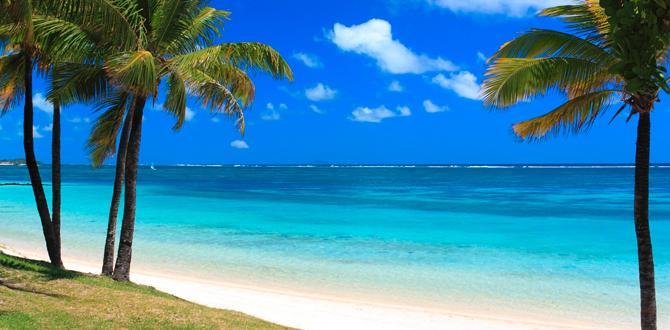 Spiaggia bianca con palme e mare cristallino | Mauritius | Turisanda