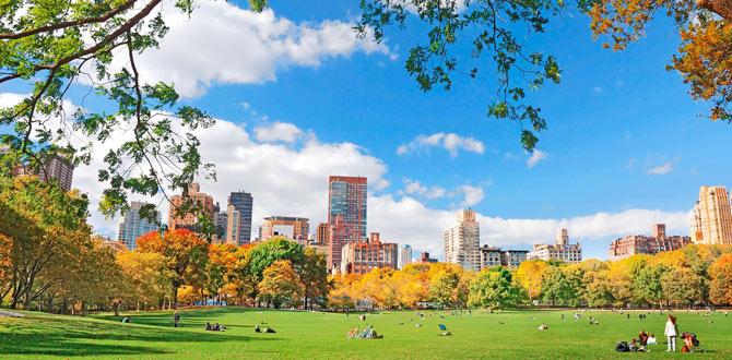 Giornata di sole nel verde Central Park di Manhattan a New York | Stati Uniti | Turisanda