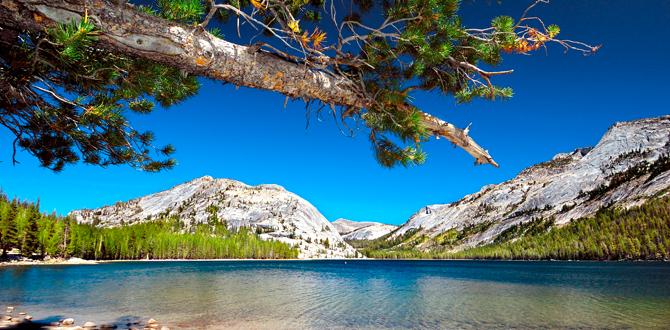 Lago alpino Tenaya all'interno del Parco Nazionale di Yosemite | California | Turisanda