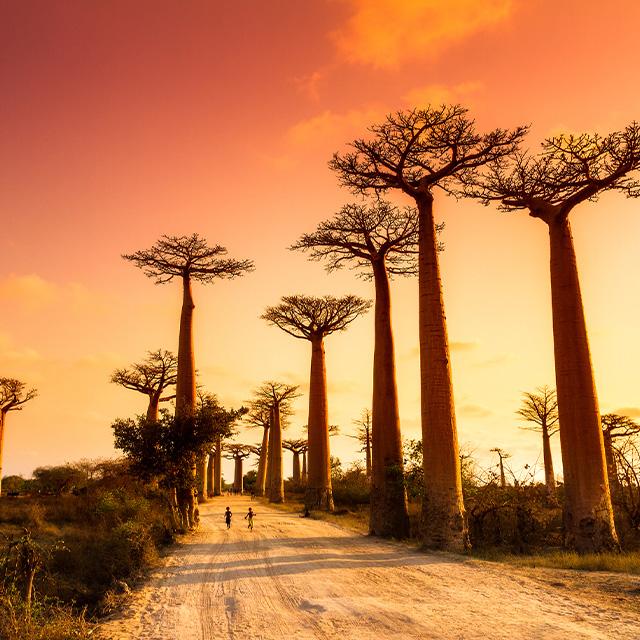 Dove andare in Africa: le mete più suggestive | Turisanda 