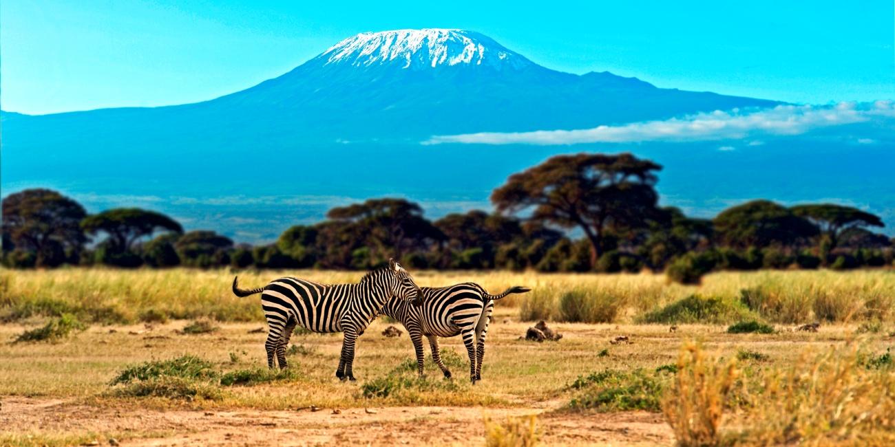 Cosa vedere in Kenya in 7 giorni: itinerari e attività