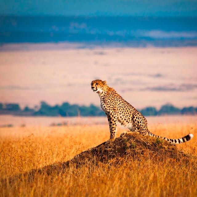 10 Parchi Nazionali più belli del Kenya