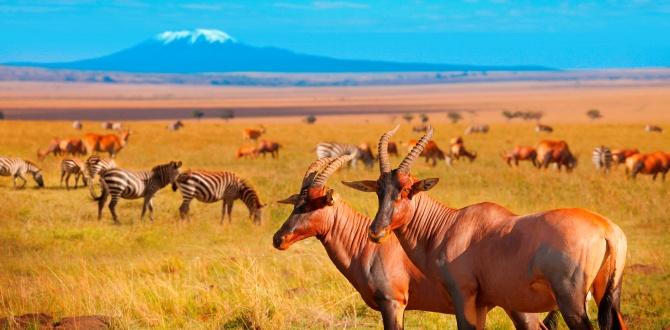 Parco Amboseli | Kenya | Turisanda