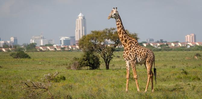 Parco Nazionale di Nairobi | Kenya | Turisanda