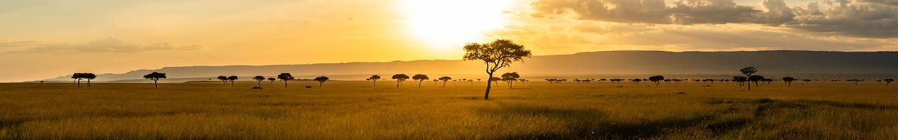 Itinerari in Kenya: safari e mare | Turisanda