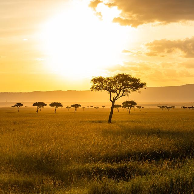 Itinerari in Kenya: safari e mare | Turisanda