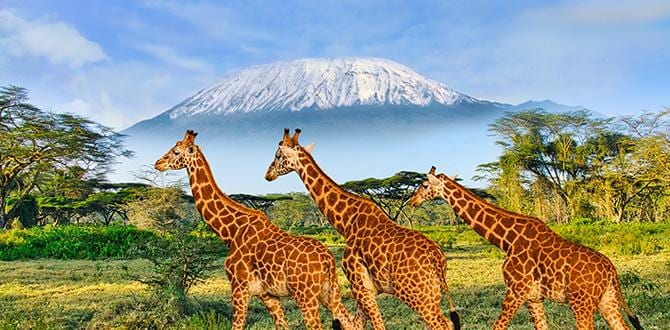 Itinerari in Kenya: safari e mare | Turisanda