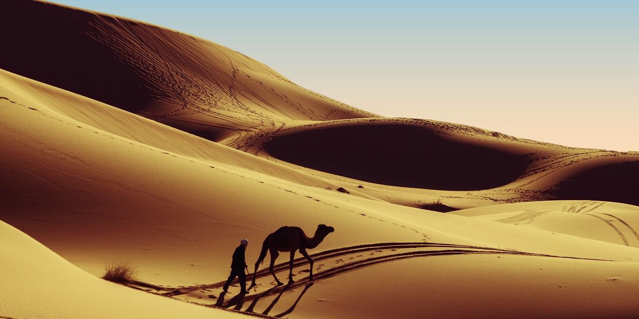 Deserto del Sahara, Zagora | Marocco | Turisanda