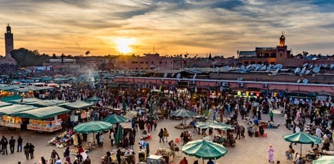 https://static.turisanda.it/.imaging/default/dam/turisanda.it/magazine/africa/marocco/quando-andare-marocco/670_330_marrakech.jpg/jcr%3Acontent.jpg