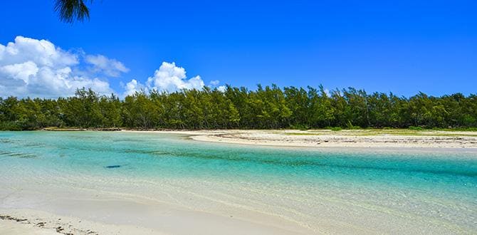 Isola dei Cervi: le escursioni da fare a Mauritius | Turisanda