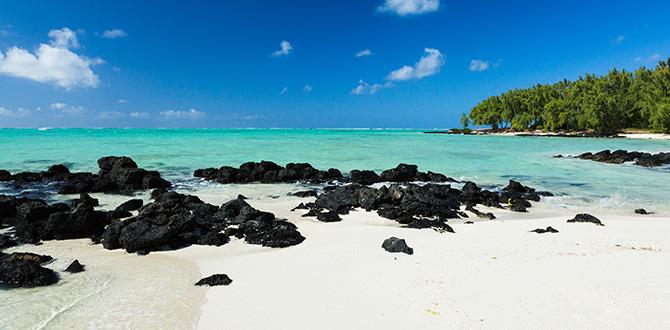 Isola dei Cervi: le escursioni da fare a Mauritius | Turisanda