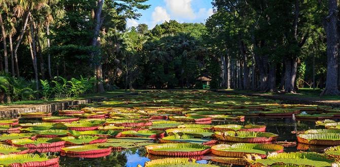 Capitale Mauritius: cosa vedere a Port Louis | Turisanda  