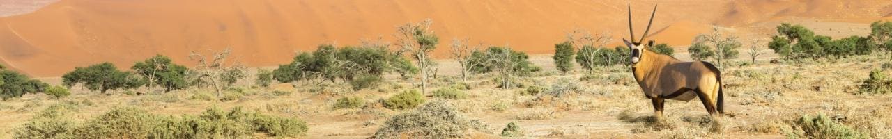 Dove si trova la Namibia, come arrivare e muoversi | Turisanda