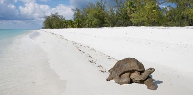 Aldabra I Seychelles I Turisanda