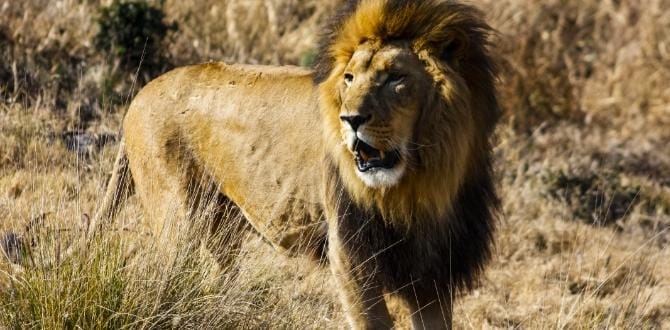 Pretoria I Sudafrica I Turisanda