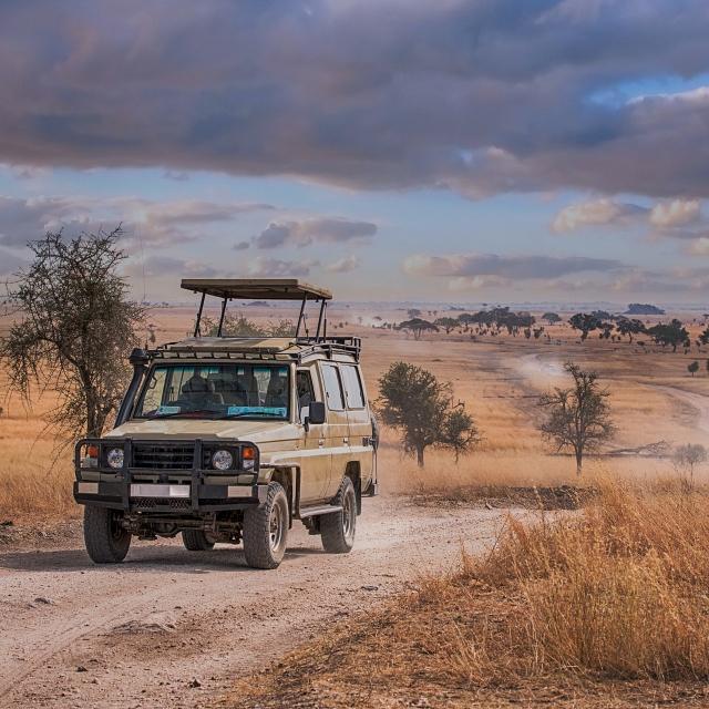 Fuoristrada nel Parco Nazionale di Serengeti, Tanzania | Turisanda 