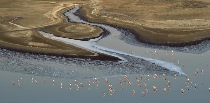 Lago Natron, Tanzania | Turisanda