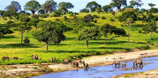 Elefanti nel Parco Nazionale del Serengeti, Tanzania | Turisanda