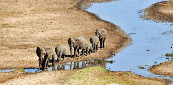 Elefanti nel Parco nazionale del Tarangire, Tanzania | Turisanda