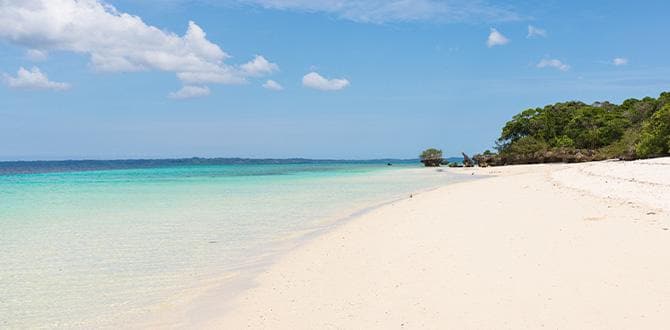 Pemba | Tanzania | Turisanda 