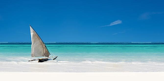 Tanzania: mare e safari | Africa | Turisanda