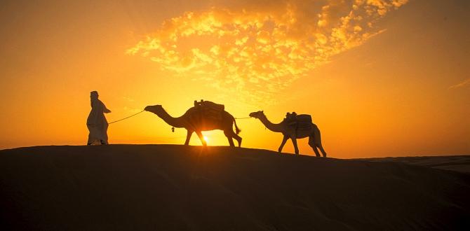 Come viaggiare nel deserto | Turisanda