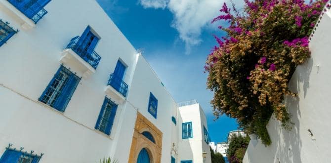 Sidi Bou Said, Tunisia | Turisanda 