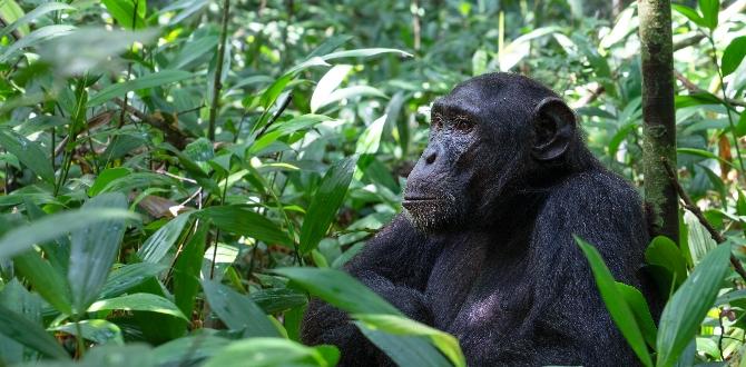 Uganda in primavera | Turisanda