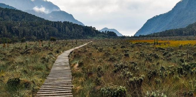 Estate in Uganda | Turisanda
