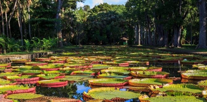 Agosto a Mauritius | Turisanda