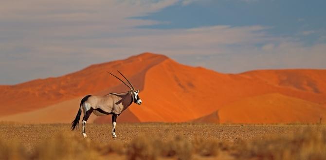 Namibia | Turisanda