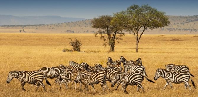 Agosto in Tanzania | Turisanda