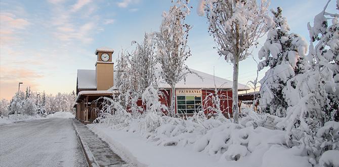 Fairbanks,  Alaska, America del Nord | Turisanda