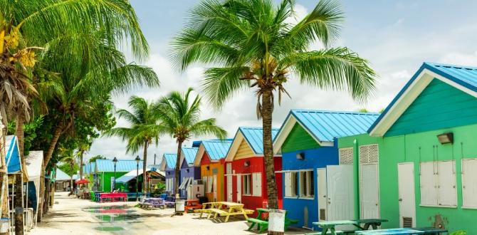 Case colorate, Barbados | Turisanda