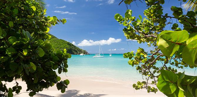 Spiaggia bianca con mare cristallino | Antille | Turisanda