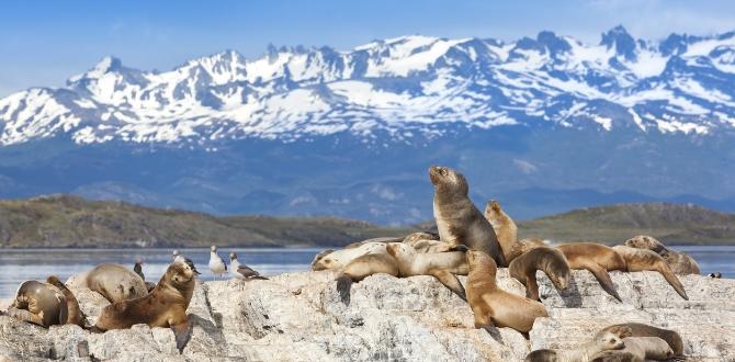 Canale di Beagle, Patagonia, Argentina | Turisanda